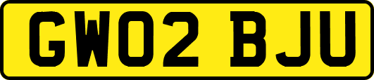 GW02BJU