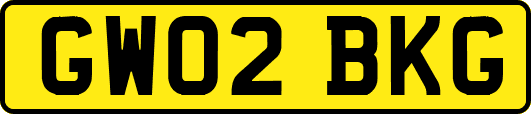 GW02BKG