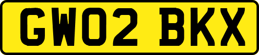 GW02BKX