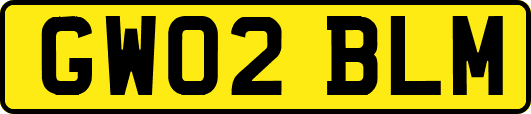 GW02BLM