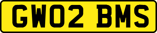 GW02BMS