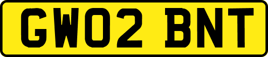 GW02BNT