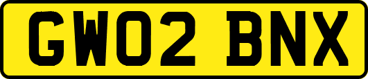 GW02BNX