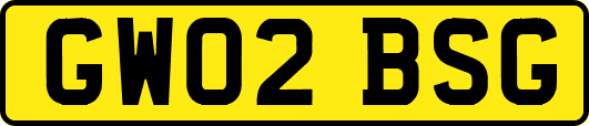GW02BSG