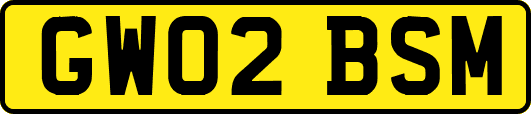 GW02BSM