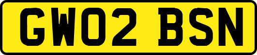 GW02BSN