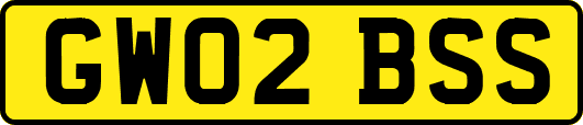 GW02BSS
