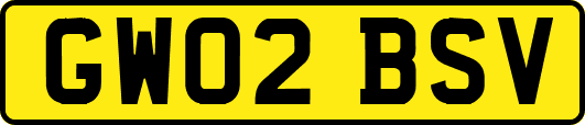 GW02BSV
