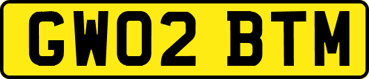 GW02BTM