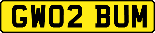 GW02BUM