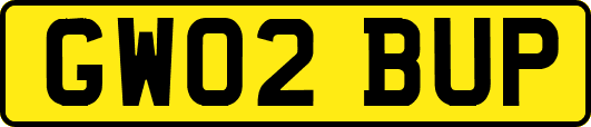 GW02BUP