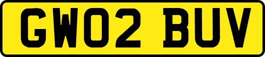GW02BUV