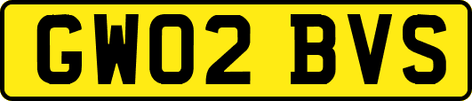 GW02BVS