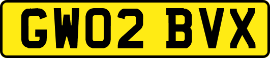 GW02BVX