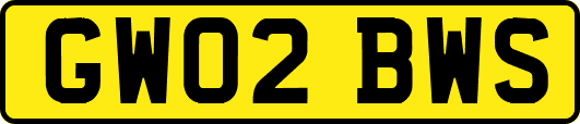 GW02BWS