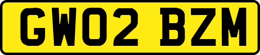 GW02BZM