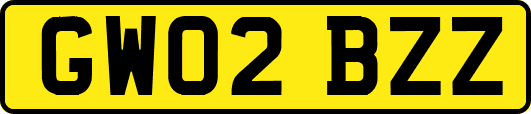 GW02BZZ