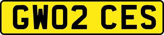 GW02CES