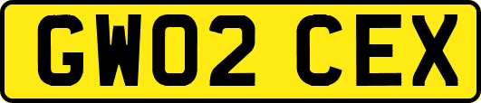 GW02CEX
