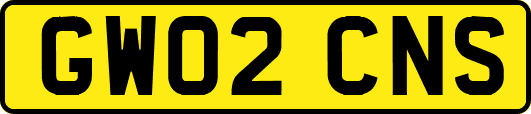 GW02CNS