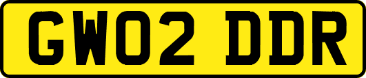 GW02DDR