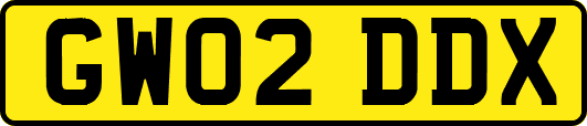 GW02DDX