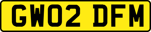 GW02DFM