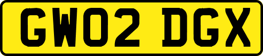 GW02DGX