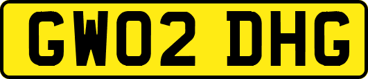 GW02DHG