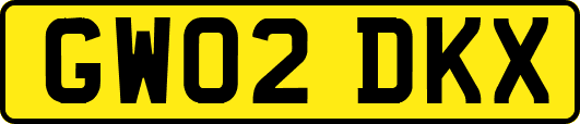GW02DKX