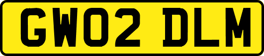 GW02DLM