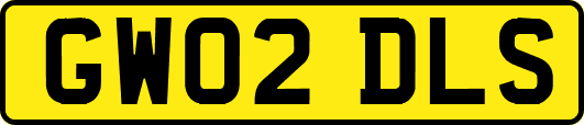 GW02DLS