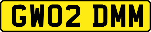 GW02DMM