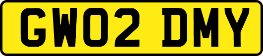GW02DMY
