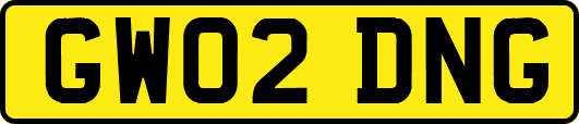 GW02DNG