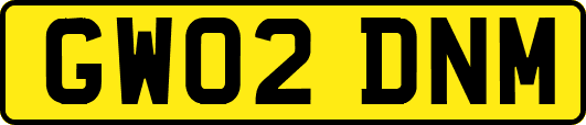 GW02DNM