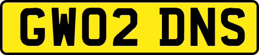 GW02DNS