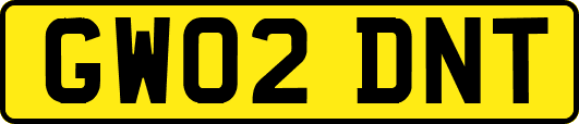 GW02DNT
