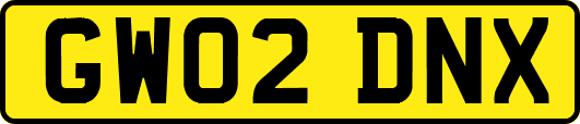 GW02DNX