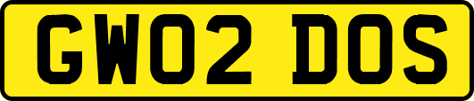GW02DOS