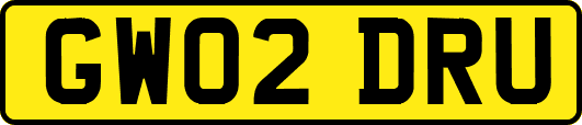 GW02DRU