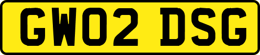 GW02DSG