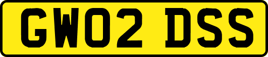GW02DSS