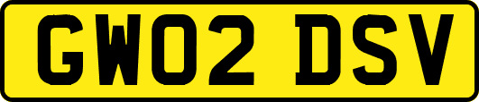 GW02DSV