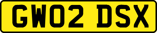 GW02DSX