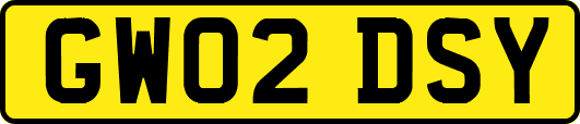 GW02DSY