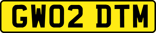 GW02DTM