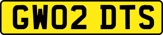 GW02DTS