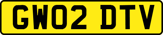 GW02DTV