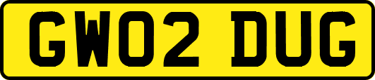 GW02DUG